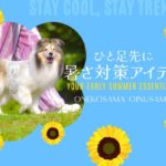 heatsafety-1000x800