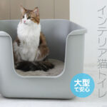 slider-litterbox3